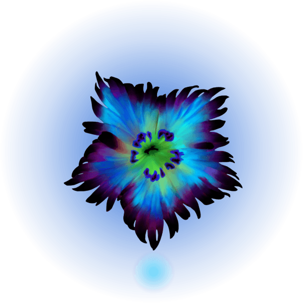 The luminous Magicae flower