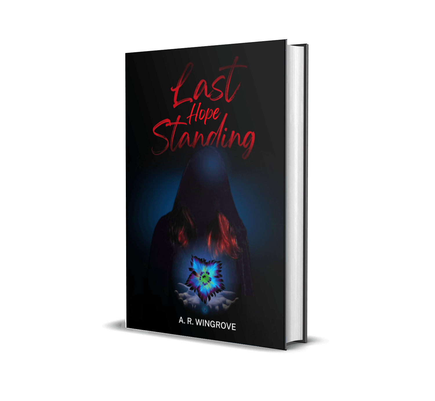 Cover of Last Hope Standing